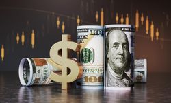 Dolar inecek mi çıkacak mı? Tarih belli oldu
