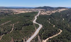 Bursa’da üç güzergahta yol çalışması başladı