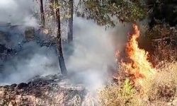 Manavgat’ta alevlerle mücadele sürüyor