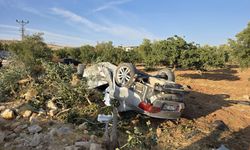 Motosiklete çarparak fıstık tarlasına uçtu: 1 ölü, 6 yaralı