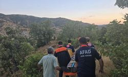 Palamut toplarken kaybolan kişi sağ bulundu