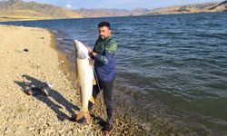 Keban Baraj Gölü’nde 30 kiloluk dev turna yakalandı