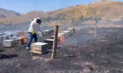 Adıyaman'da otluk alan yangını 200 arı kovanını kül etti