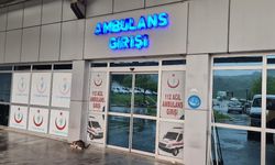 Ağaçtan düşen adam, merdiveni tutan kişiyi de yaraladı
