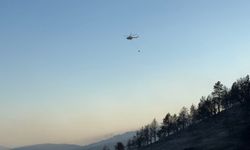 Ankara-Çankırı sınırındaki orman yangını 60 personel ve 14 aracın müdahalesiyle söndürüldü