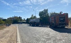 Aydın'da okul yanında başlayan yangın panikletti