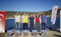 Baraj ve göletler 122 bin yavru balıkla buluştu