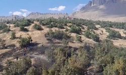 Beytüşşebap'ta orman yangını: Ekipler alevlerle mücadele ediyor
