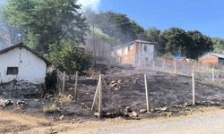 Bilecik'te orman yangınına sebebiyet veren şahıs gözaltına alındı