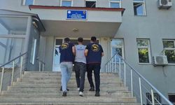 Bingöl'de 5 bin 176 kök kenevir ele geçirildi