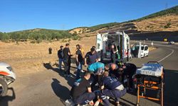 Bingöl'de kamyonet şarampole yuvarlandı: 3 yaralı