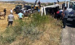 Boztepe'de hayvan yüklü tır yan yattı
