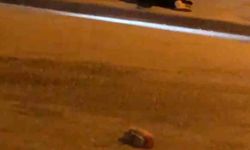 Cadde ortasında sopalı kavga: 1 yaralı