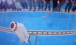 Camide kediyi tekmeleyen şahıs serbest bırakıldı