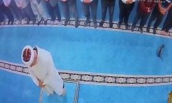 Camide kediyi tekmeleyen şahsa sosyal medyada tepki yağdı: Başsavcılık harekete geçti, gözaltına alındı
