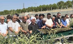 Damatlık yerine kefen giydi