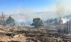Dinar'da orman yangını