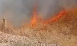 Ereğli'de çıkan iki ayrı yangın paniğe neden oldu