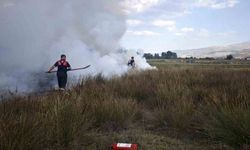 Erzincan'da arazide çıkan yangın söndürüldü