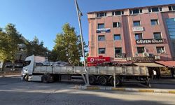 Erzincan'da tırın dorsesi aydınlatma direğine çarptı