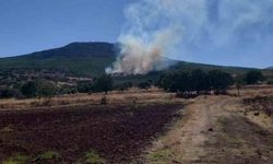 Eskişehir'de ormanlık alanda çıkan yangın kontrol altına alınmaya çalışılıyor