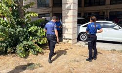 Esnafın beslediği kedi bacakları kesilmiş halde bulundu