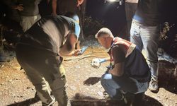 Gazipaşa'da ormanlık alanda kafatası bulundu