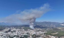 Gözaltına alınan yangın şüphelisi tutuklandı
