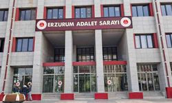 Gülistan Doku soruşturmasında eski komutan yardımcısı ve eşi tutuklandı: Tutuklu sayısı 32 oldu