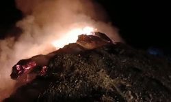 Hakkari'de 5 bin ot balyası kül oldu