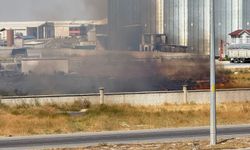 Karapınar'da ot yangını paniği