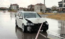 Kontrolden çıkan otomobil önce direği sonra ağacı devirdi: 1 yaralı