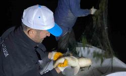 Kovada Gölü'nde kaçak avcılığa gece denetimi