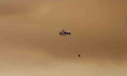 Kozan'da orman yangını: 40 ev tahliye edildi, 3 uçak ve 9 helikopter havada