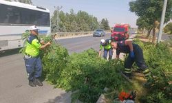 Kuvvetli rüzgar ağacı devirdi