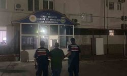 Kuyucak'ta ormanlık alanda kenevir yetiştiren şüpheli suçüstü yakalandı
