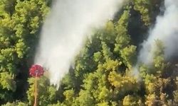 Manavgat'ta orman yangını