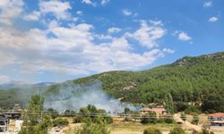 Menteşe'de otluk alanda yangın
