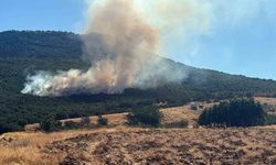 Mihalıççık'ta orman yangınına müdahale sürüyor