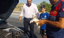 Otomobilin motoruna sıkışan kedi kurtarıldı
