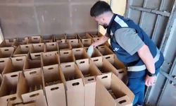 Samsun'da 1 ton 122 litre etil alkol ele geçirildi