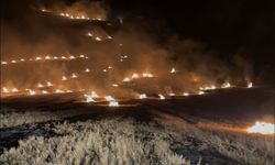 Samsun'da anız yangını ormanlık alana sıçramadan söndürüldü