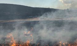 Tekirdağ'da korkutan anız yangını