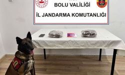TEM'de yolcu otobüsünde 810 gram esrar ele geçirildi; 1 tutuklama