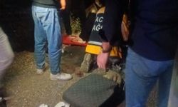 Van'da yolcu minibüsü devrildi: 9 yaralı