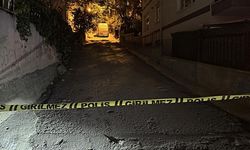 Aynı dairede 3 erkek ölü bulundu!