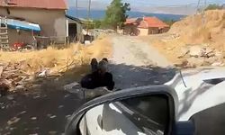 Elazığ'da yaşlı adam ağaca zincirlenmiş halde bulundu