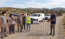 İzmir’de mavi dil alarmı: Bergama’da 15 mahalle karantinaya alındı
