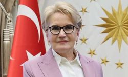 Meral Akşener Vakfı’nın logosu ortaya çıktı