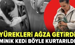 Bursa'da minik kedi yürekleri ağza getirdi